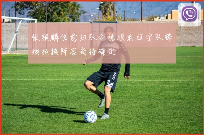 张镇麟伤愈归队合练顺利辽宁队锋线轮换阵容尚待确定